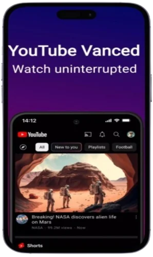 Background Video Plays
